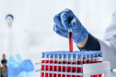 img1---2024-07-22T174004.705